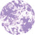 Lavender Tie Dye