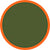 army and orange